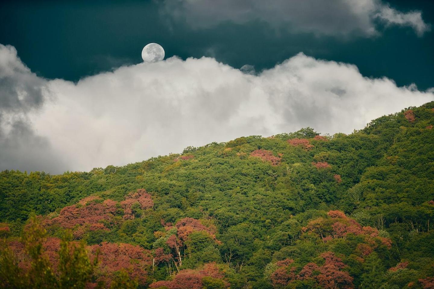 Lodge Yamajiu Hakuba Zewnętrze zdjęcie