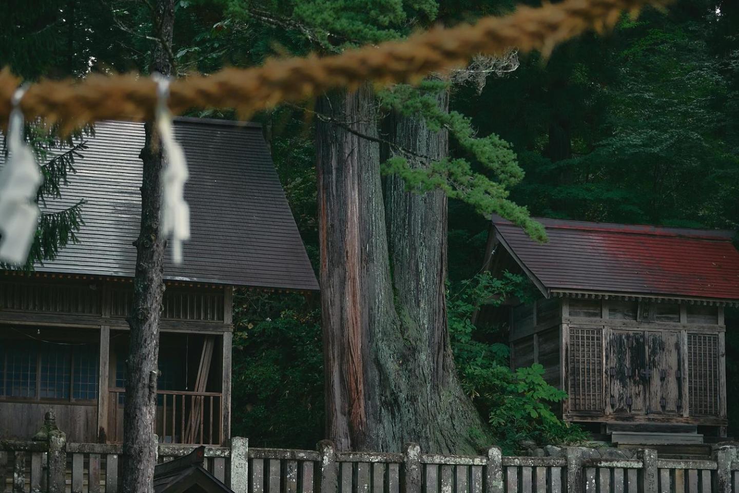 Lodge Yamajiu Hakuba Zewnętrze zdjęcie
